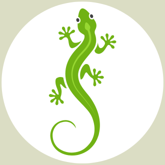 gecko-300